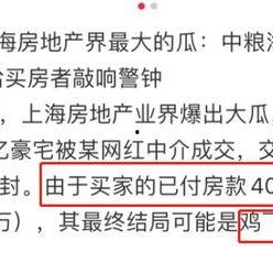 网红大瓜小说免费阅读,免费阅读背后的秘密与诱惑